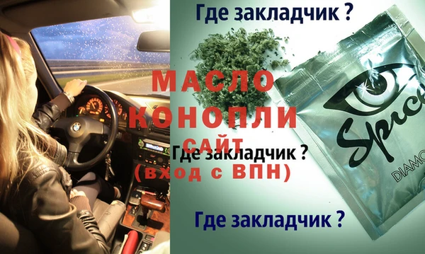 шишки Горнозаводск